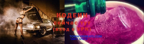 сатива Надым