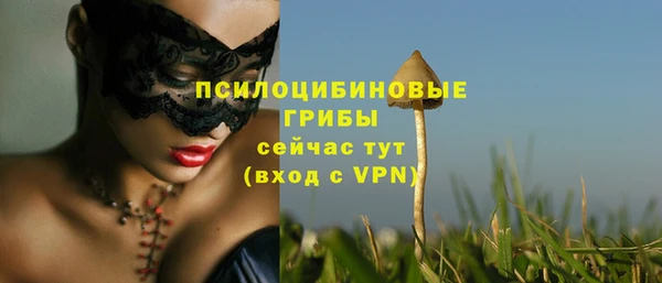 сатива Надым