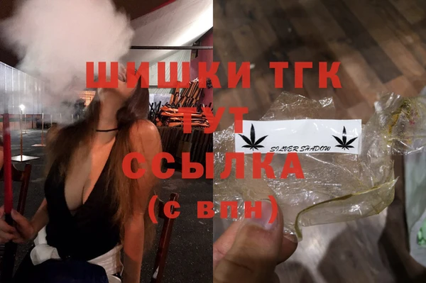 мдпв Кулебаки