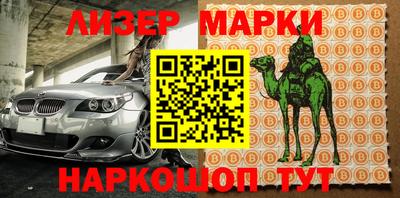 прущие грибы Кандалакша