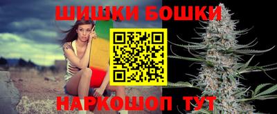 прущие грибы Кандалакша