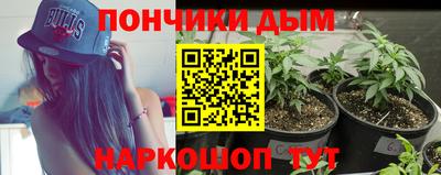 дурь Камышлов