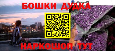 прущие грибы Кандалакша