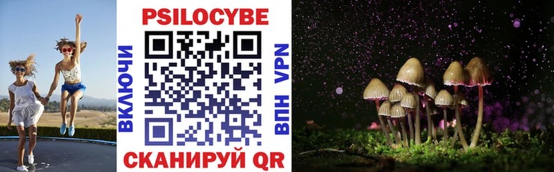 Псилоцибиновые грибы Psilocybine cubensis  где можно купить наркотик  Крымск 