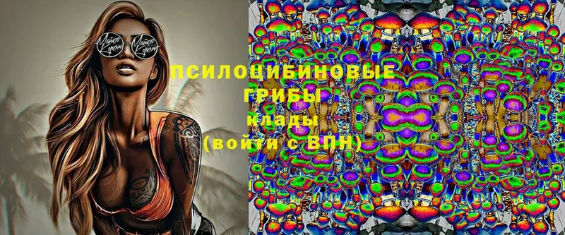 OMG зеркало  Крымск  Псилоцибиновые грибы Magic Shrooms 