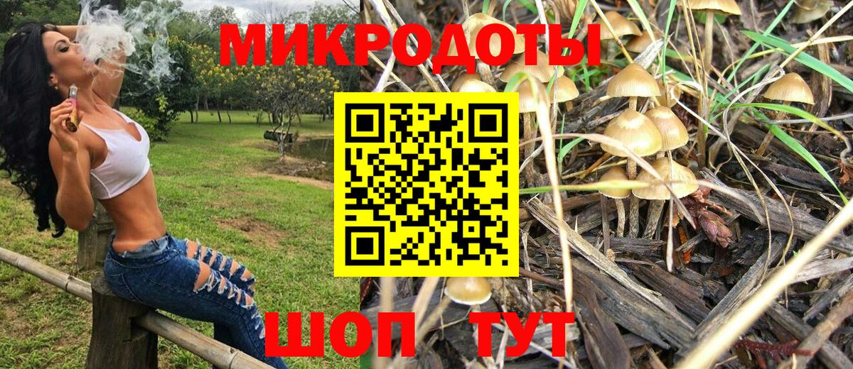 Псилоцибиновые грибы Psilocybine cubensis Крымск
