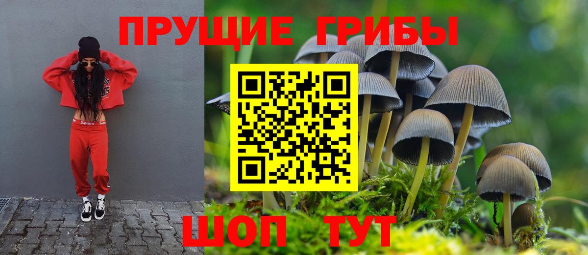 Галлюциногенные грибы GOLDEN TEACHER  Крымск 